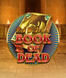 Начните захватывающий мир Book of Dead от Play'n GO, показывающий яркую графику путешествия Рича Уайлда по древнеегипетским гробницам и артефактам. Найдите затерянные богатства с захватывающими механиками, такими как бесплатные вращения, расширяющиеся иконки и возможность игры на риск. Идеально для тех, кто ищет приключений, желающих волнующих находок.